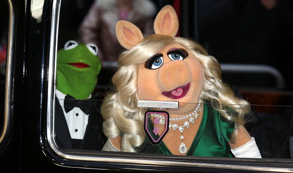 Muppets Cover Song:  ‘Cool Kids’ By Echosmith [Video]