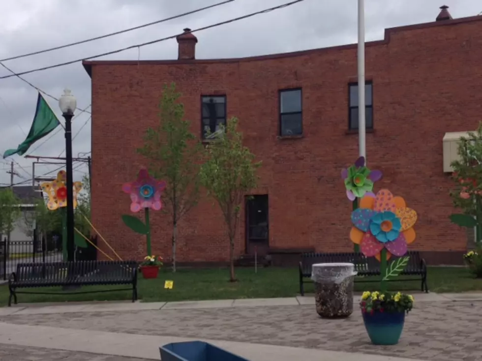 What Are the Big Flowers at Oneida Square in Utica? [PHOTOS]