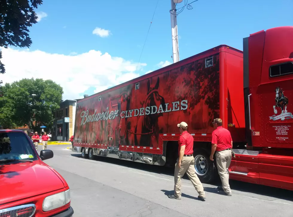 Have You Ever Wondered What It&#8217;s Like to Work With the Budweiser Clydesdales? [VIDEO]