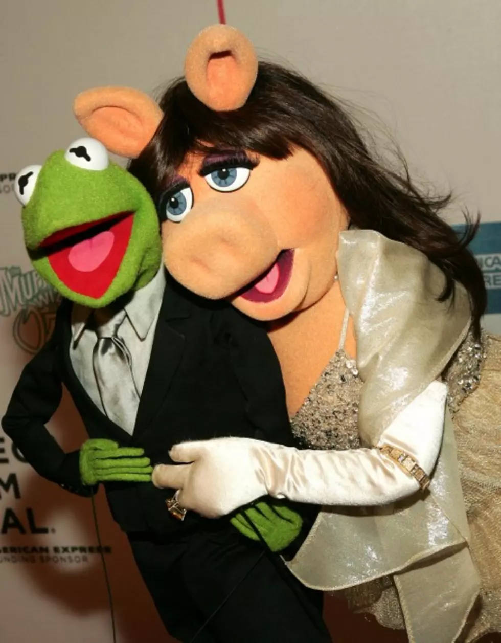 It&#8217;s Splitsville for Kermit the Frog And Miss Piggy