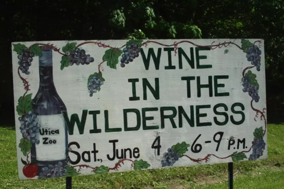 What is the Utica Zoo’s ‘Wine in the Wilderness’ All About?
