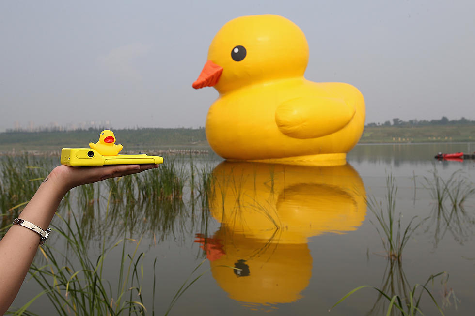 World’s Largest Rubber Ducky is Coming to Syracuse