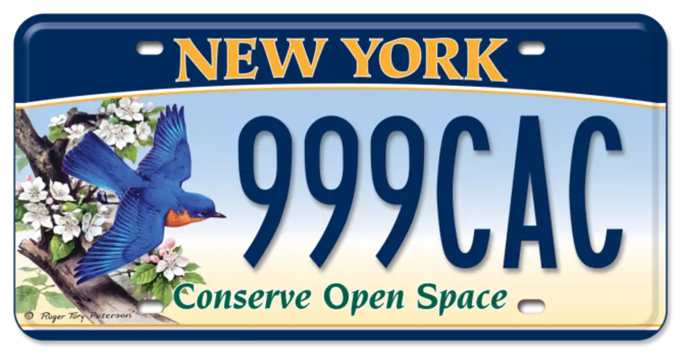 New York State License Plate Choices