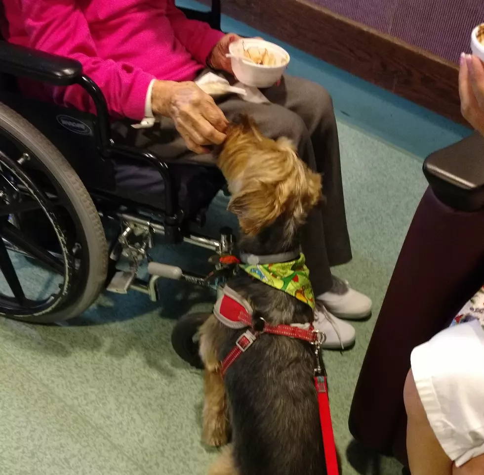 Dog Visits CNY Nursing Home