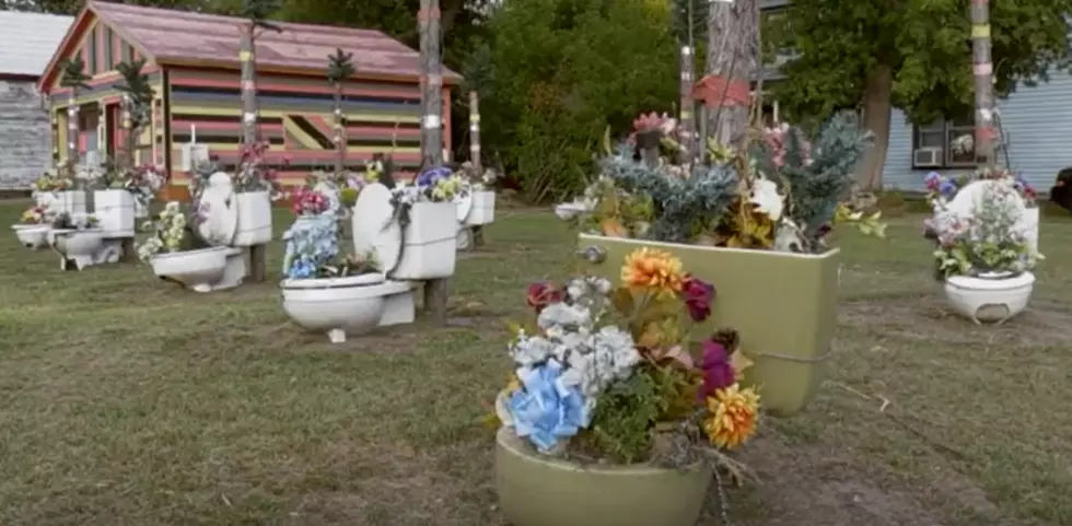Did You Know About Upstate New York’s Toilet Garden?