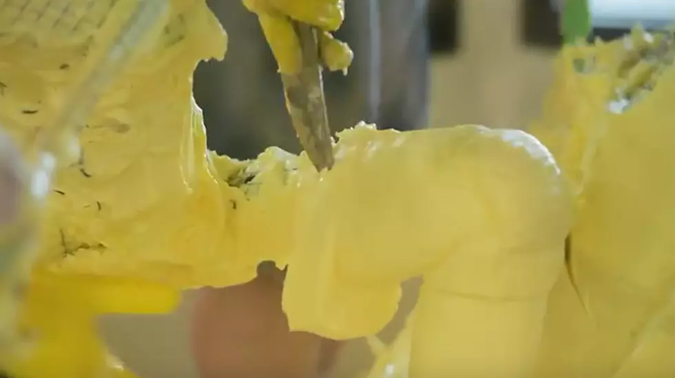 Butter Sculpture Disappears