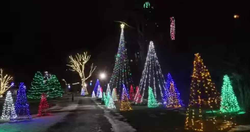 See a Beautiful Holiday Display at Niagara Falls This Winter