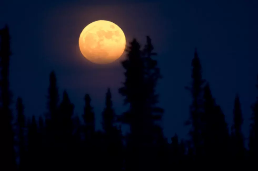 Harvest Moon Shines Bright This Weekend