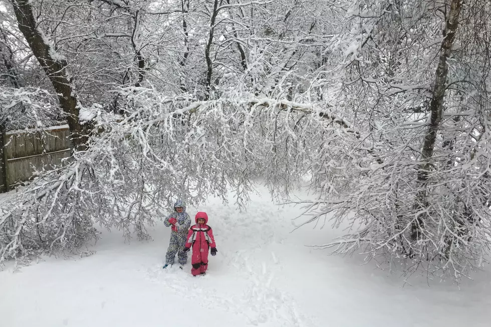 How Does It Look In Your Backyard?