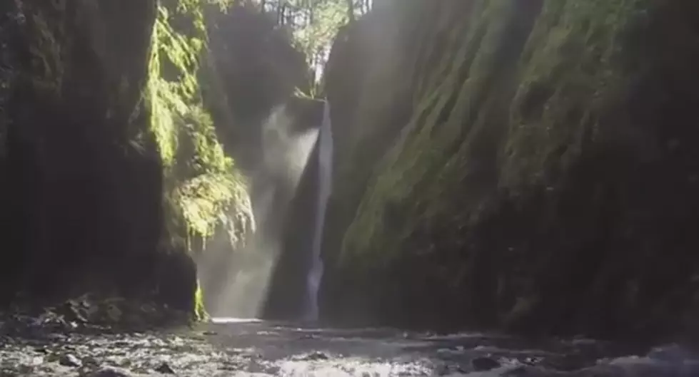 The Beautiful Oneonta Falls
