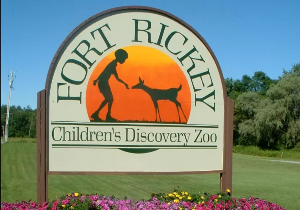 Otters Have a New Home at Fort Rickey Thanks to Rome Family