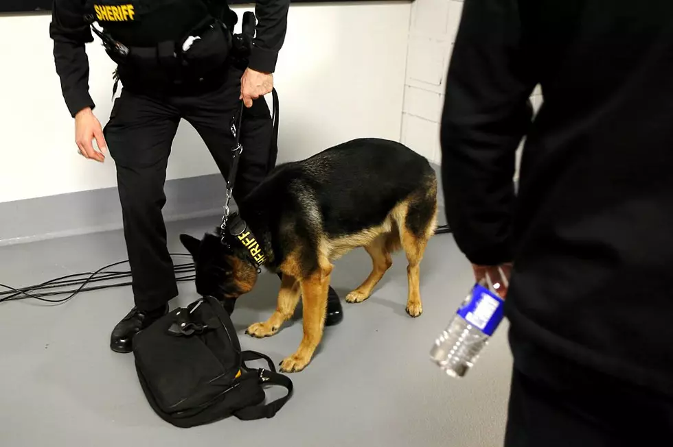 New Law Would Change Penalty For Harming Police Dogs