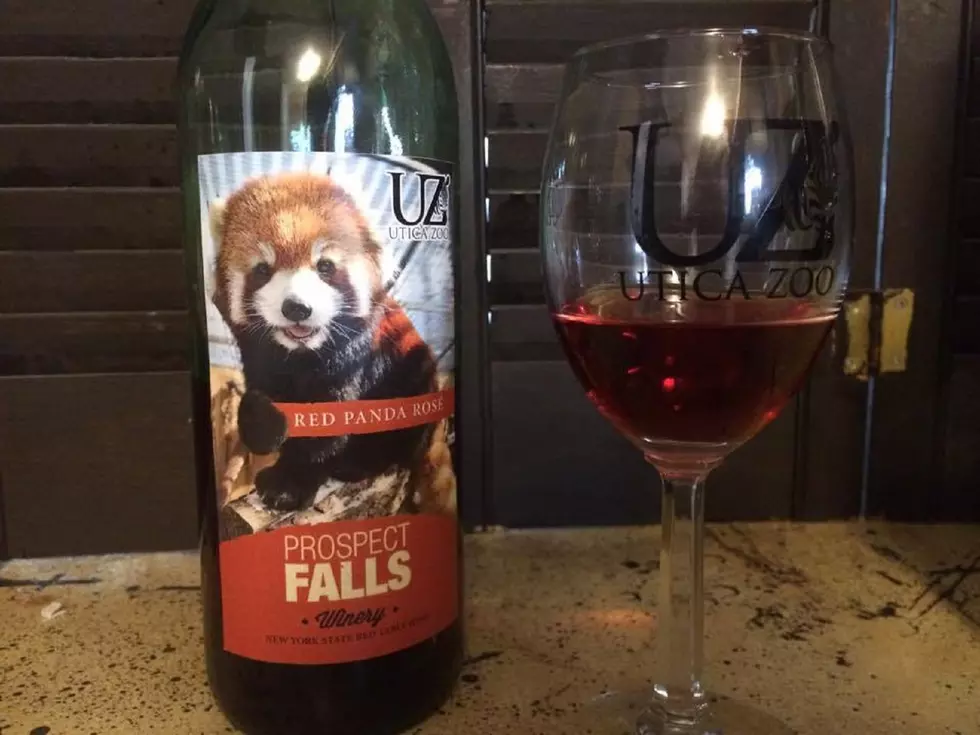 [VIDEO] Prospect Falls Winery Creates Special ‘Red Panda Rose’ for Wine in the Wilderness