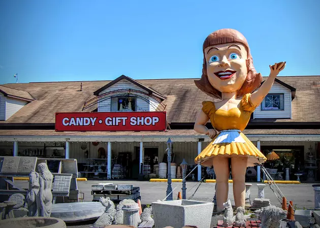 This Waitress Is Ready to Serve You, Right Here in New York State