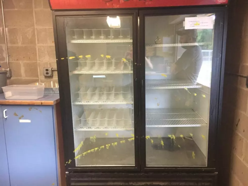 Concession Stand Vandalized
