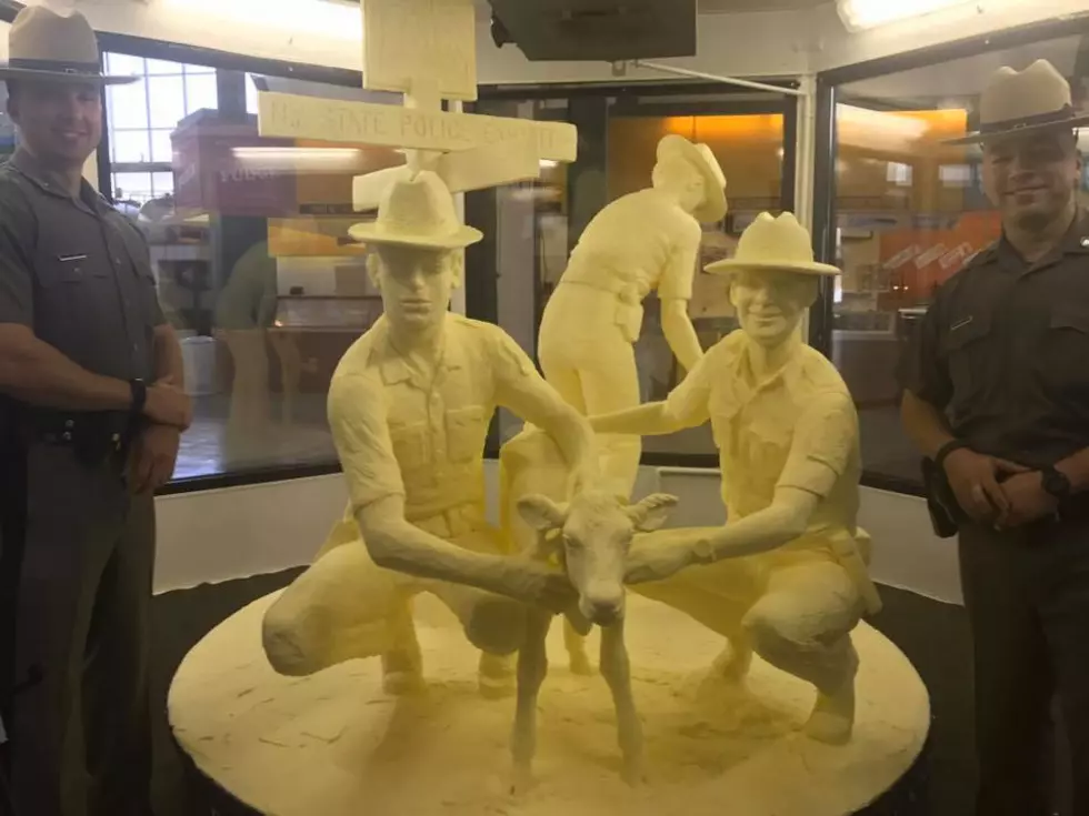 Marcy Farmer&#8217;s Photo Inspires NYS Fair Butter Sculpture