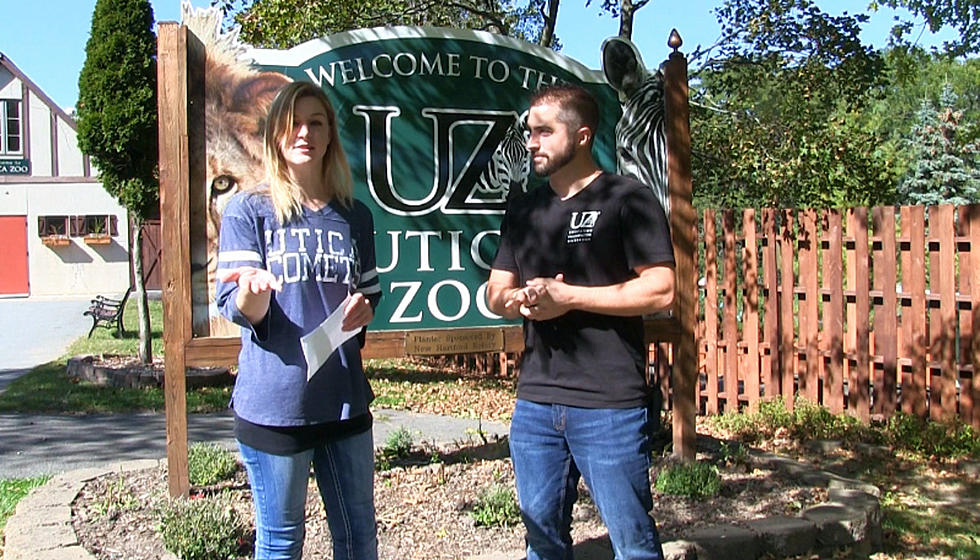 The Zoo's News