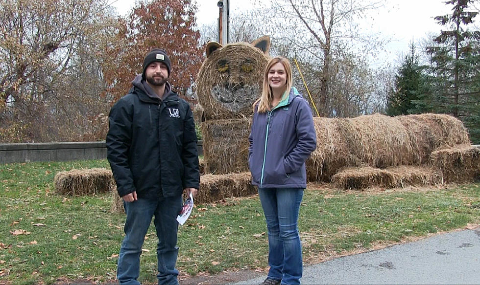 Holiday Fun with the 'Holiday Hoot' at the Utica Zoo