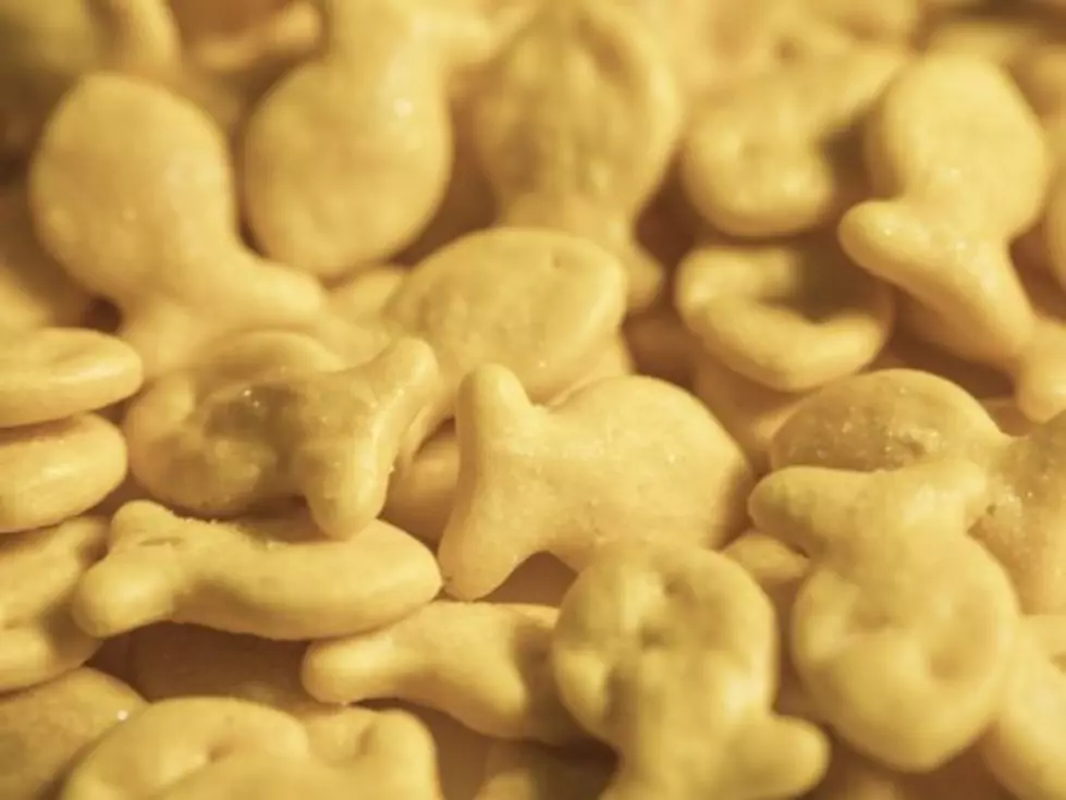 Check Your Goldfish Crackers, or Avoid Them! Recall Announced