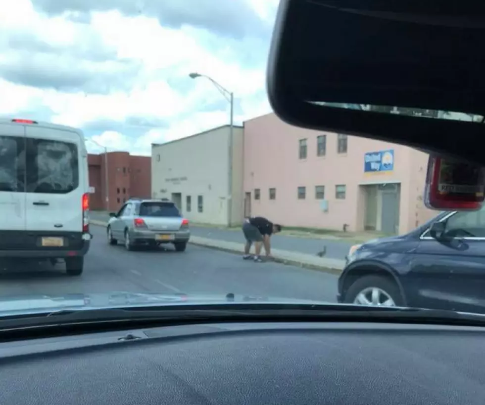 Mystery Rome Man Stops Traffic to Help Baby Ducks Cross the Road