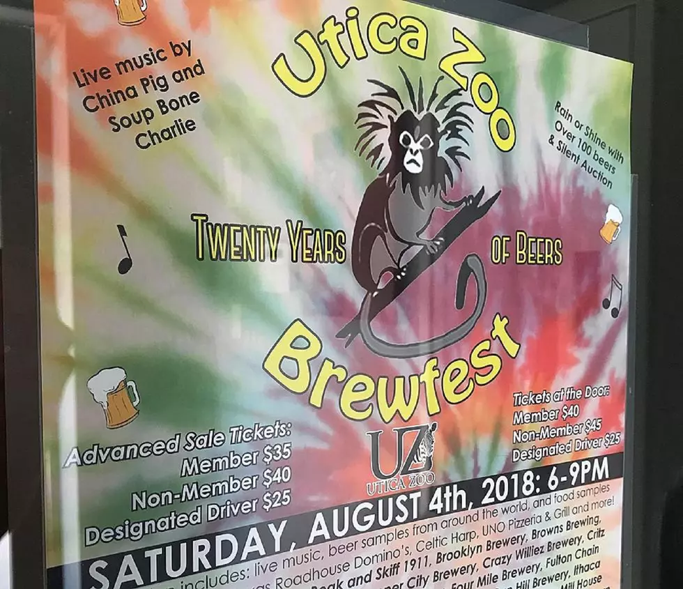 7 Things You NEED to Know Before Attending Brewfest at the Utica Zoo