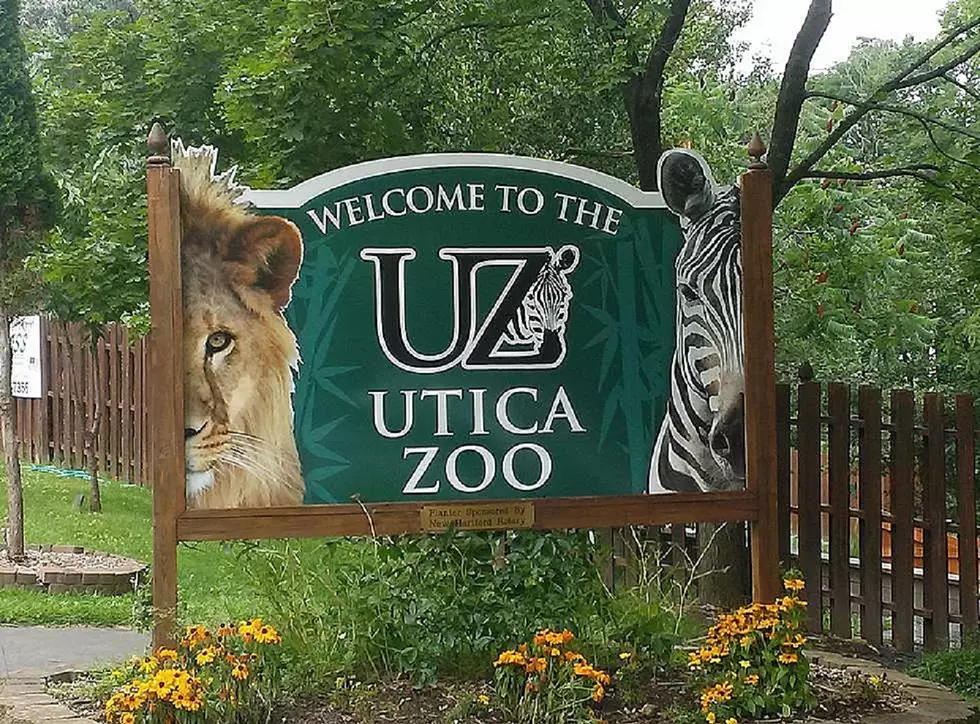 Utica Zoo Receives Accreditation &#038; Joins Elite Company