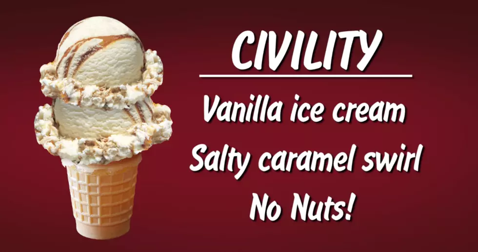CNY Ice Cream Shop Introduces Flavor to Bridge Political Divide