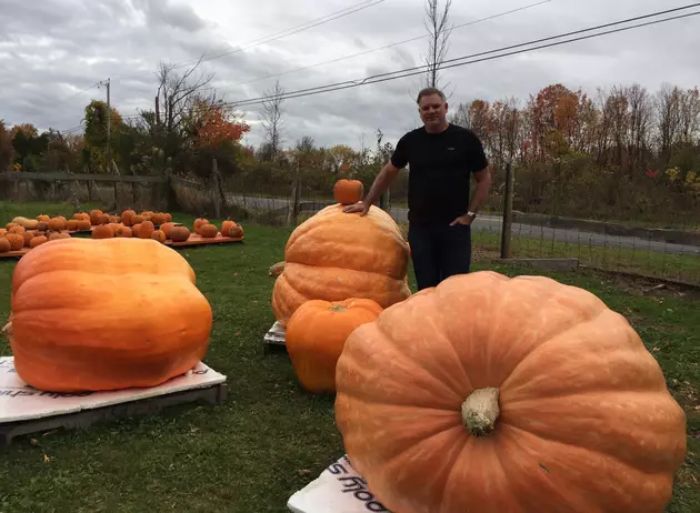 Just How Big Is Halloween for Central New York Businesses?