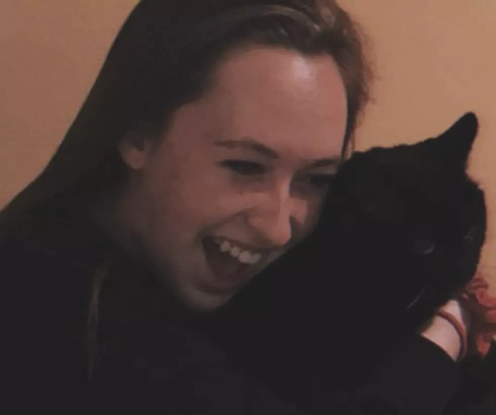 Beloved Cat Reunited With CNY Girl After Being Lost For Years