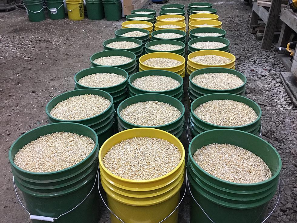 Popcorn Sale Is Last Chance to Save Central New York Family Farm