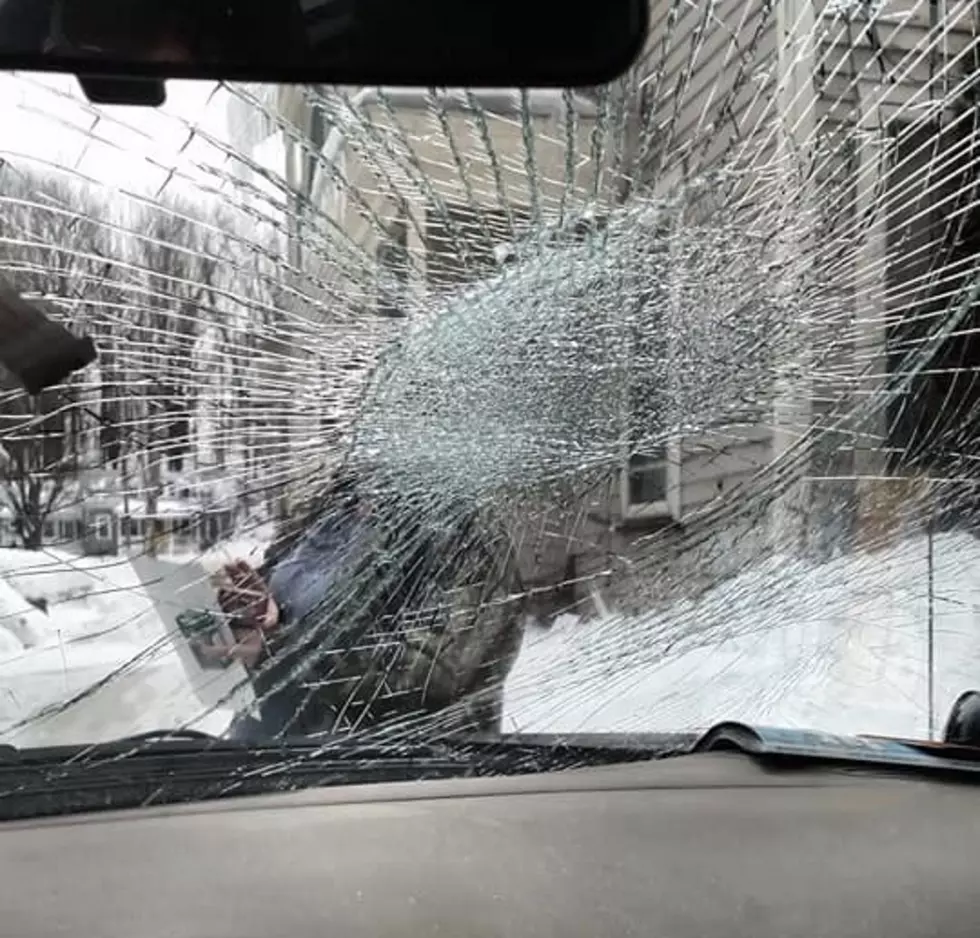 Guess What Destroyed This Central New York Windshield?