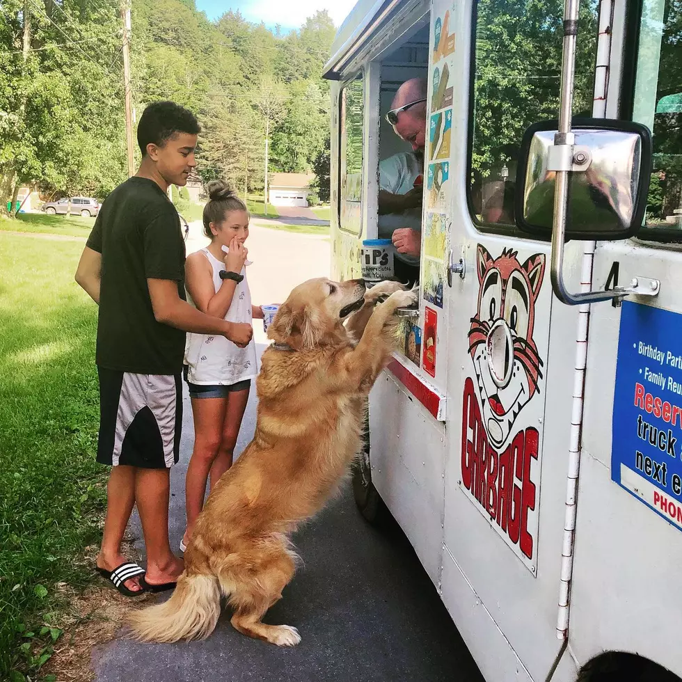 Central New York Dog Carries On His Sweet Summer Tradition