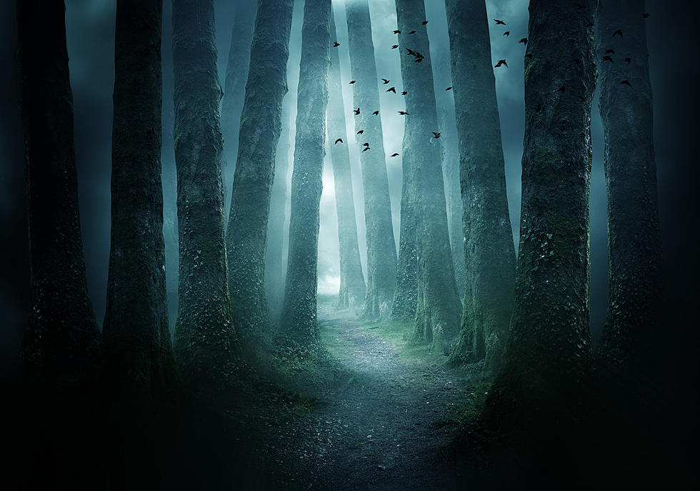 The Most Haunted Hike in New York is Less Than 2 Hours Away from CNY