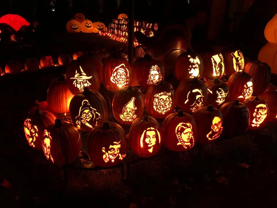 Utica Woman Carves 100s of Pumpkins for Massive Halloween Display