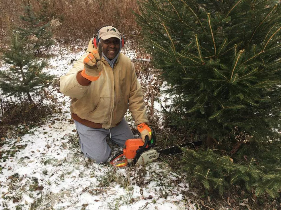 A CNY Santa is Giving Away Free Christmas Trees