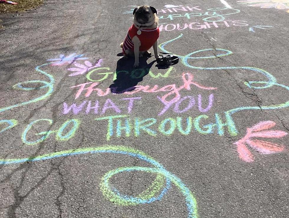 Chalk It Up to Central New York Positivity to Make Things Brighter