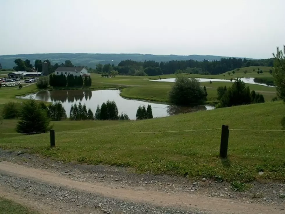 Love Golf? Buy Your Very Own Golf Course in Central New York