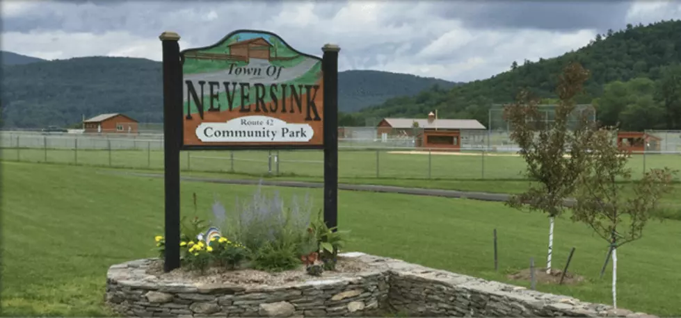 Coronavirus Day Trip Idea: Neversink, New York