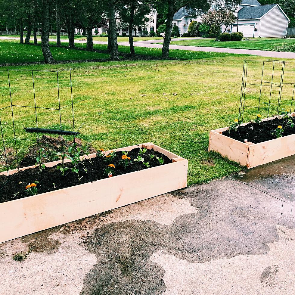 How To Build an Easy Raised Vegetable Bed for About $30