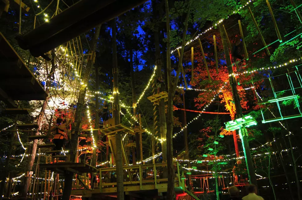 Have a Glow in The Dark Treetop Adventure at This New York Park