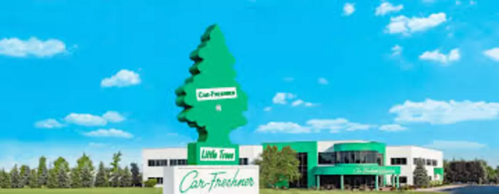 The Upstate NY History of Car Air Fresheners Shaped Like Trees