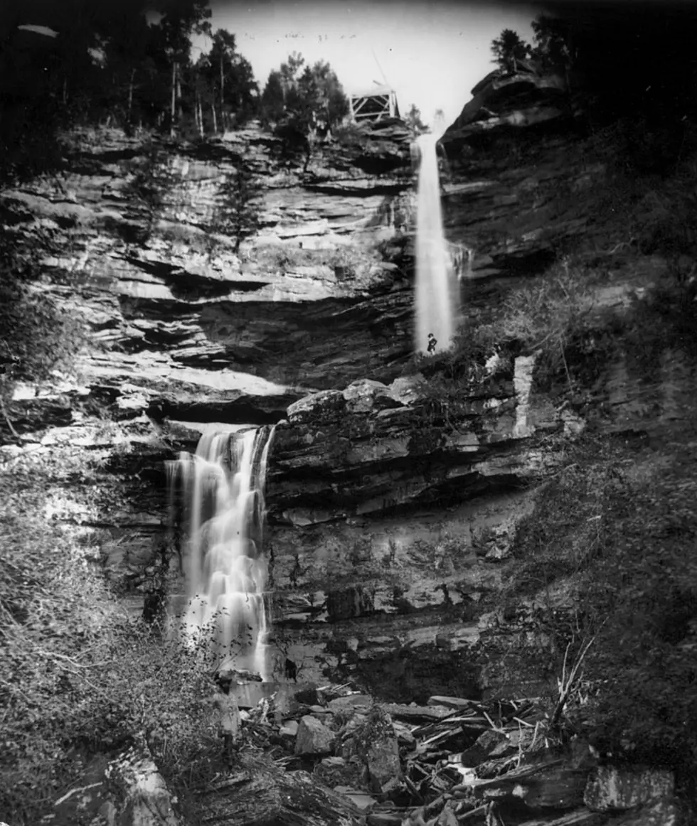 Weird NY: The Haunting Loyalty of the Ghost Dog of Kaaterskill Falls