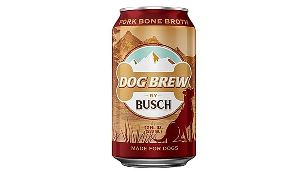 Drink Beer With Your Dog, Order Busch&#8217;s New Dog Brew