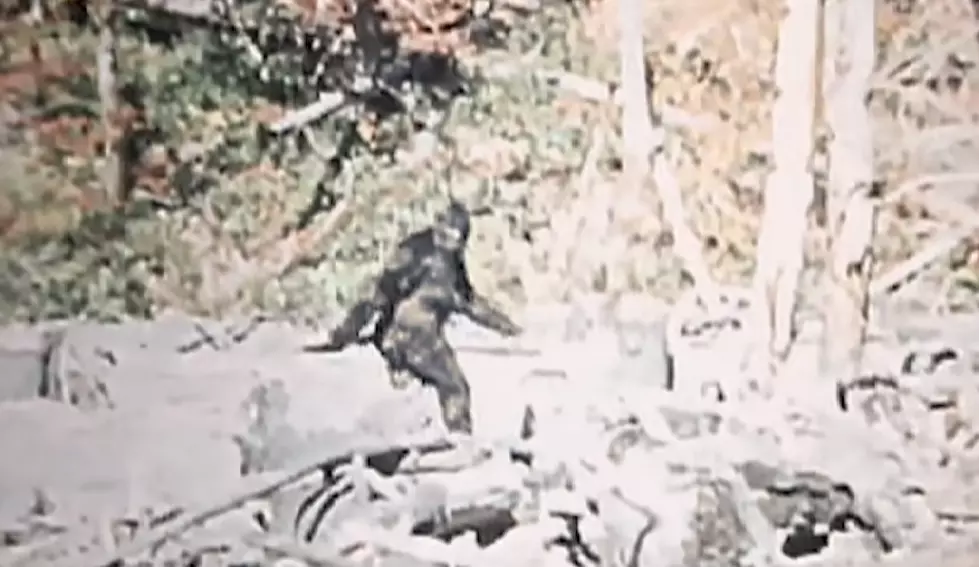 Join Researchers on a New York Expedition to Find Bigfoot