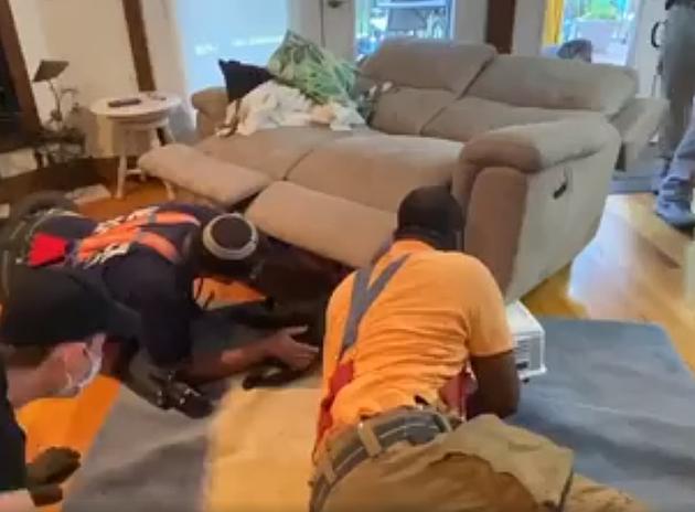 WATCH: New York Police Department Rescues Puppy Trapped in Recliner