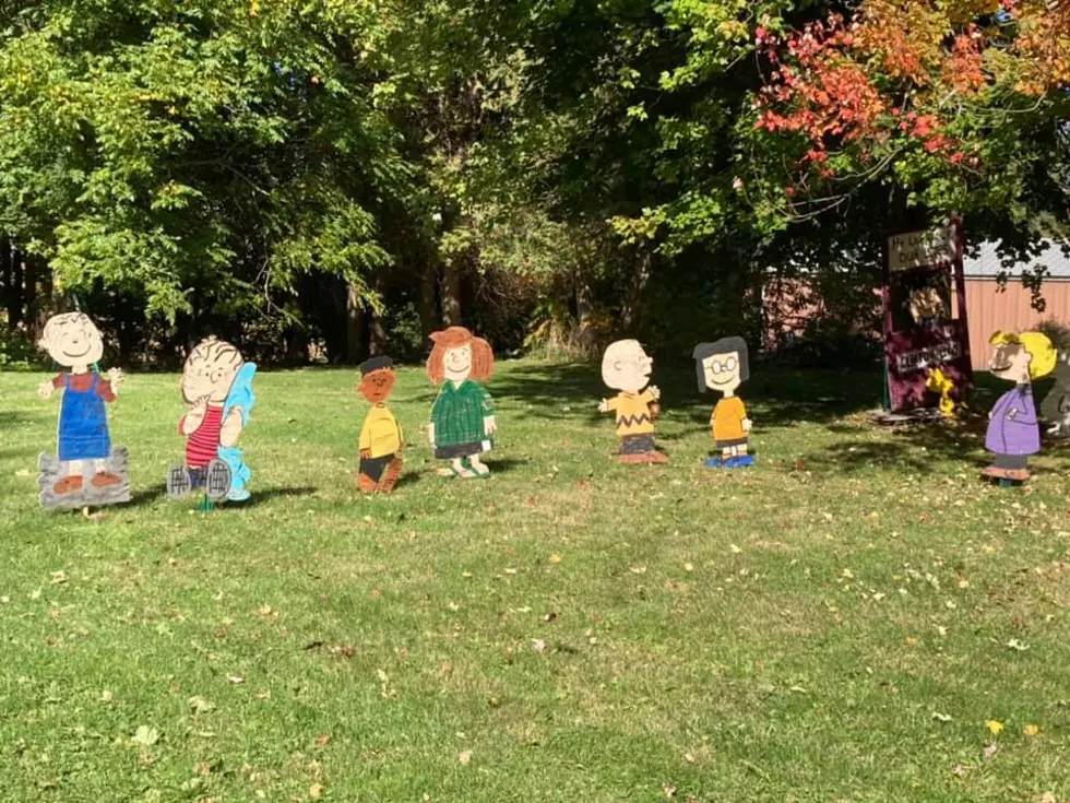 9-Year-Old Clinton Boy Pleads for Return of Stolen Peanuts Decoration