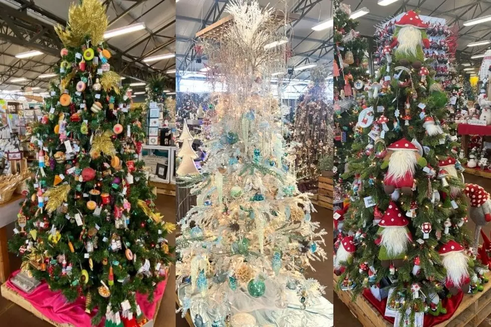Visit a Christmas Wonderland Filled with Over 30 Themed Trees