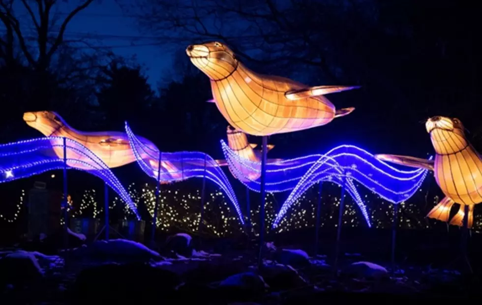Take A Magical Holiday Lantern Safari at This Famous New York Zoo