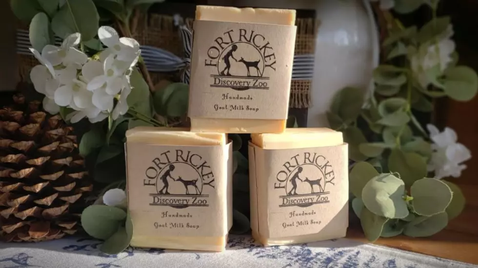 Fort Rickey Of Rome NY Released Handmade Goat Milk Soap