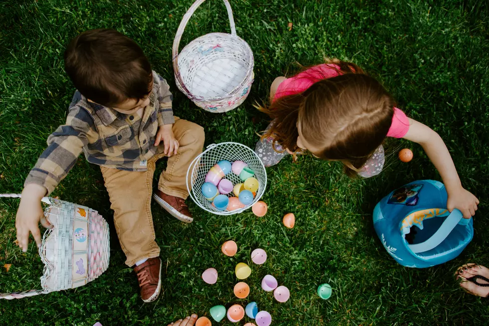 Egg Your House For The Camden Library This Easter